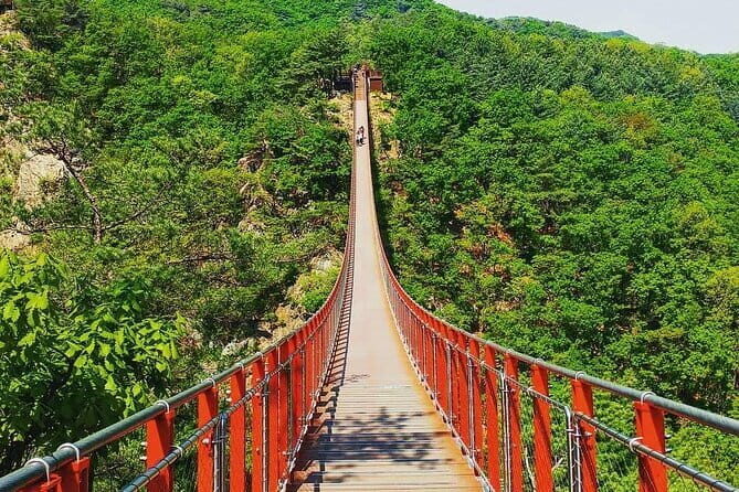 Seoul and Suburbs Private Customized Tour - Stop 1: Nami Island for Tree-Lined Walks and Art Installations