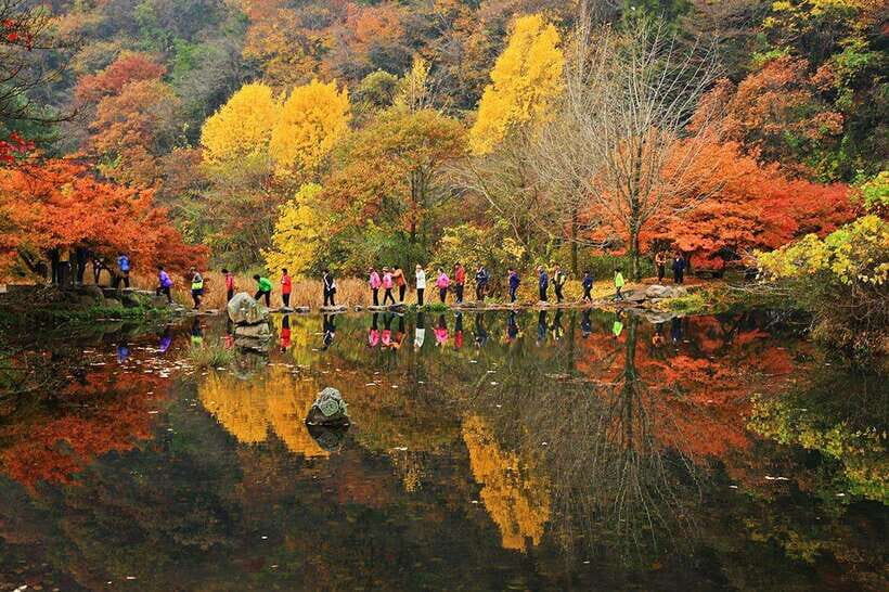 Seoul: Autumn Foliage - Mt. Naejang + Jeonju Hanok Village - Naejangsan’s Autumn Timing: What Makes This Mountain Special