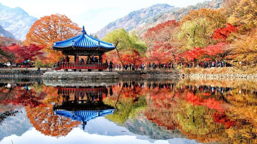 Seoul: Autumn Foliage - Mt. Naejang + Jeonju Hanok Village - Naejangsan National Park Walk: Low-Elevation Views at Walking Pace