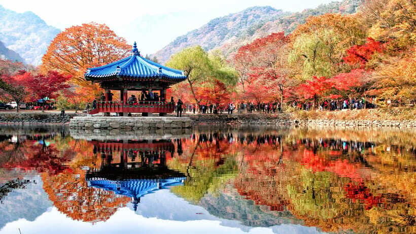 Seoul: Autumn Foliage - Mt. Naejang + Jeonju Hanok Village - Who Should Book This Mt. Naejang + Jeonju Combo