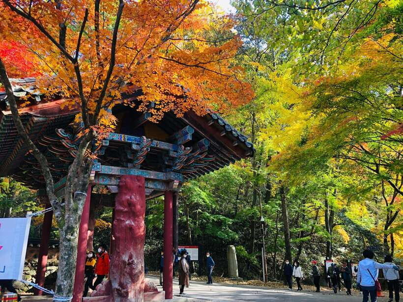 Seoul: Autumn Foliage - Mt. Naejang + Jeonju Hanok Village - Getting There From Seoul: A Long Van Day That Still Works