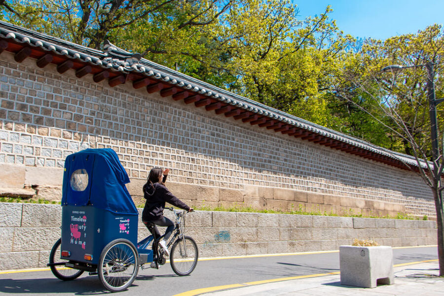 Seoul: Bukchon Hanok Village Pedicab Tour - Price and value: is $94 worth it?