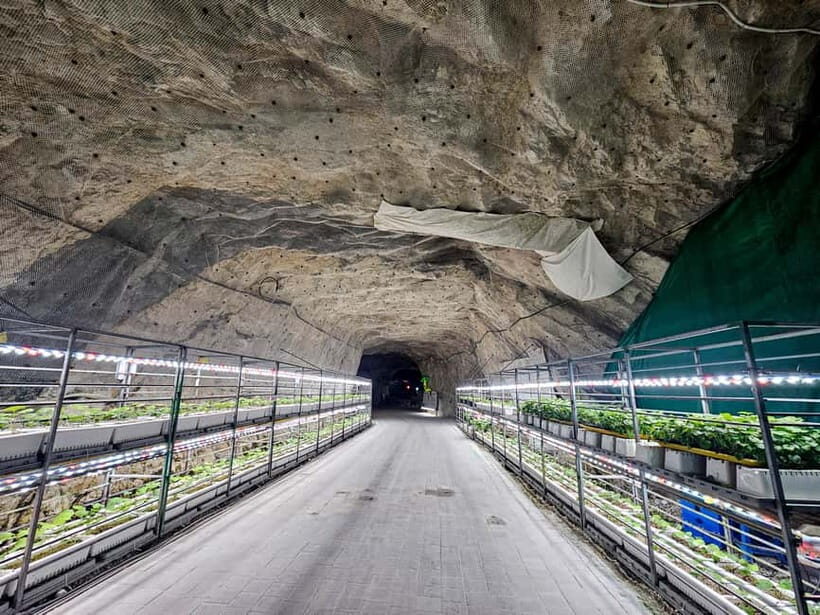 Seoul: Chungju Cruise, Cable Car & Cave Kayak Adventure Tour - Cheongpung Cable Car: panoramic views with room to breathe