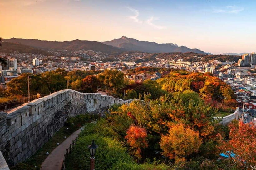 Seoul: City or Suburbs Private Chartered Car Tour for 10HR - Route 2: DMZ Area + Paju Outlets for a Big Contrast Day