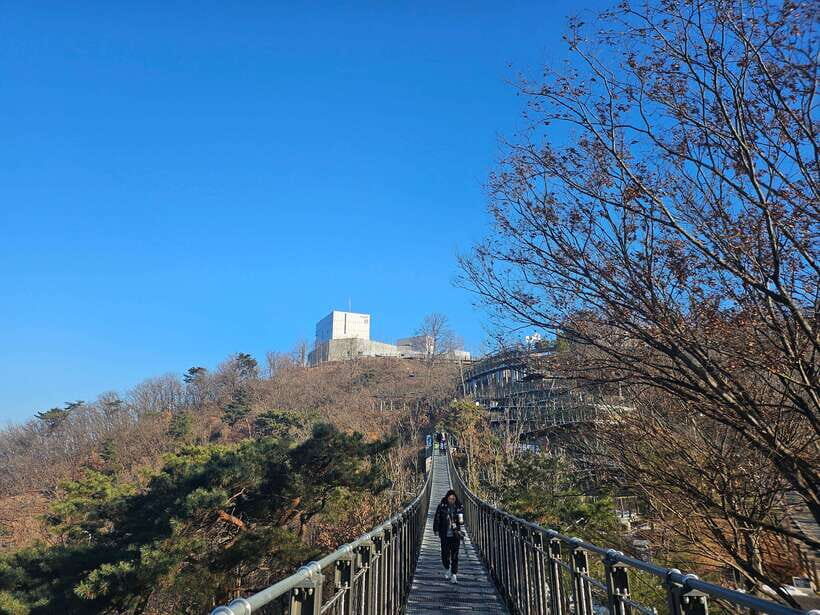 Seoul: Closest DMZ Observatory with North Korea View (1.4km) - The Rest of the Day: Hyundai Outlet and Ending at Seoul City Hall
