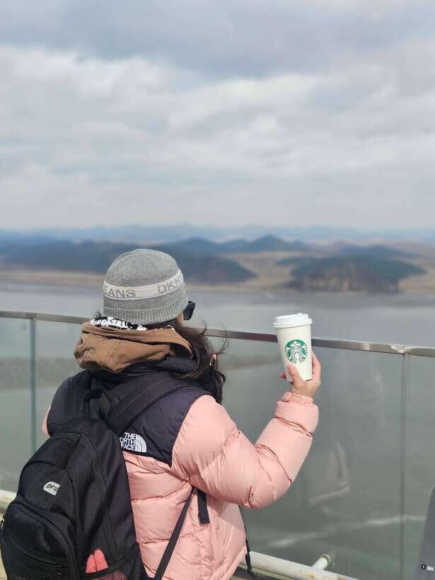 Seoul: Closest DMZ Observatory with North Korea View (1.4km) - Who Should Book This Tour (and Who Might Want a Different Option)