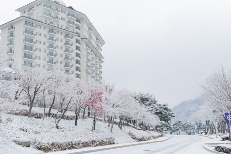 Seoul: Elysian Gangchon Winter Ski with Nami Island Day Tour - Who This Seoul Winter Day Trip Is For