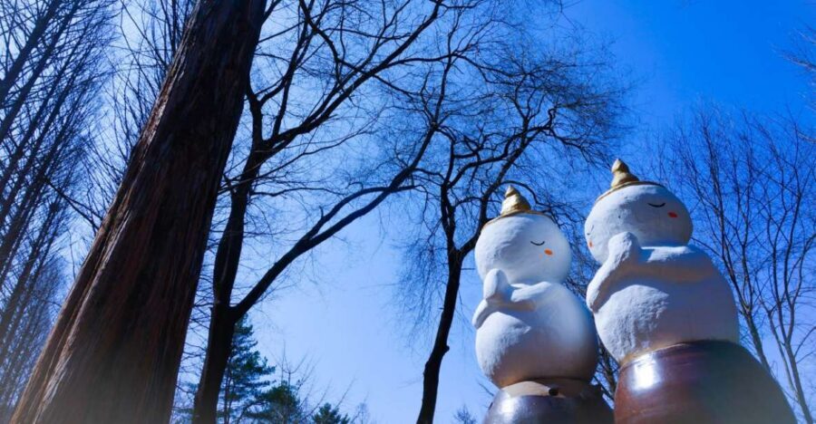 Seoul: Elysian Gangchon Winter Ski with Nami Island Day Tour - Nami Island Timing That Actually Helps With Crowds