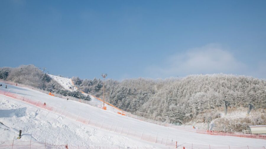 Seoul: Elysian Gangchon Winter Ski with Nami Island Day Tour - Food and Comfort: Plan Around What’s Not Included