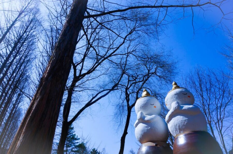 Seoul: Elysian Gangchon Winter Ski with Nami Island Day Tour - Guides, Coaching, and the Human Side of a Winter Day
