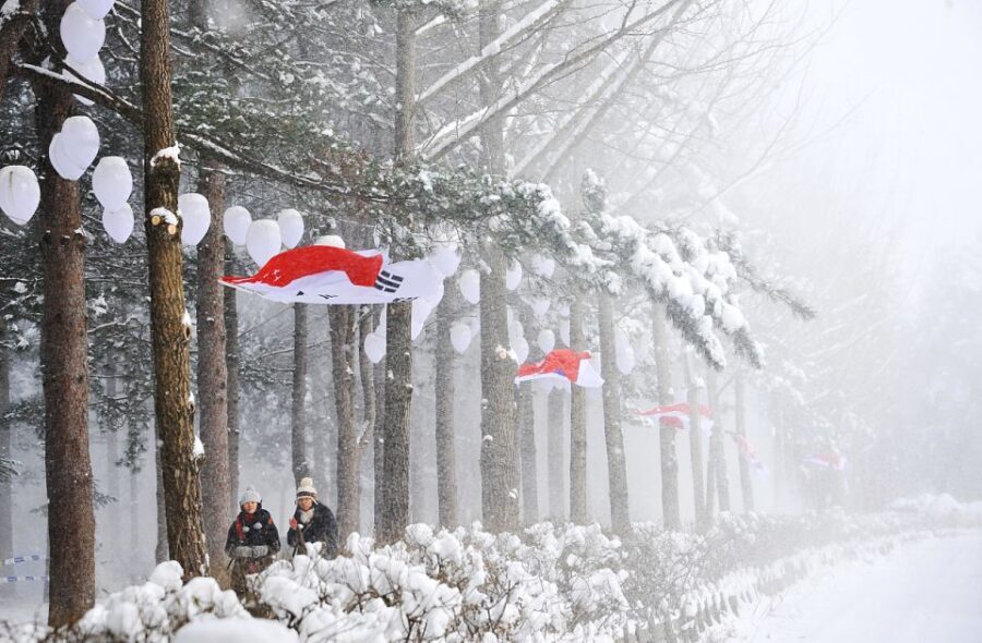 Seoul: Elysian Gangchon Winter Ski with Nami Island Day Tour - The Snow Reality: What If There’s Not Much Snow?