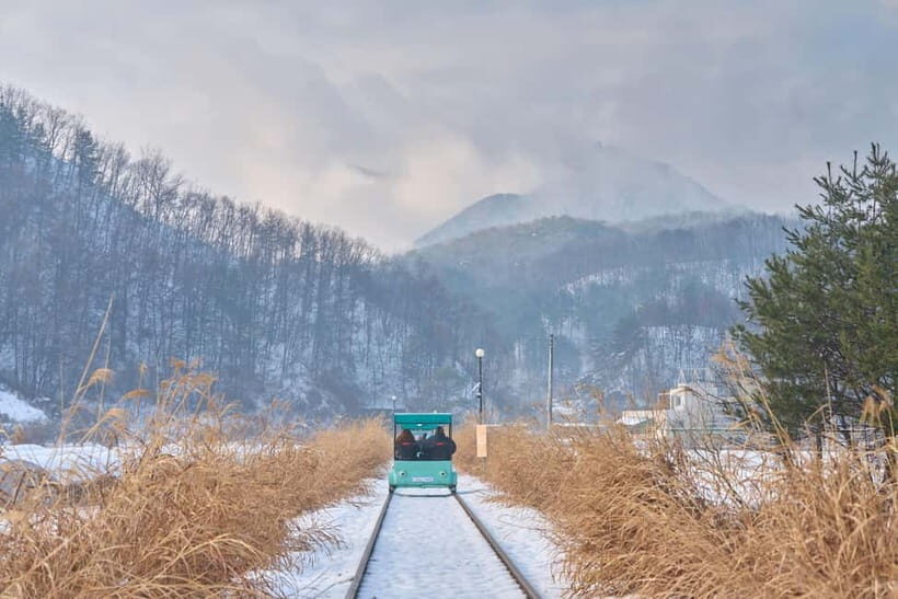 Seoul: Eobi Valley(Winter), Strawberry, Nami Island and Bike - Strawberry Farm Fun First, Then Korea’s Winter Backdrops