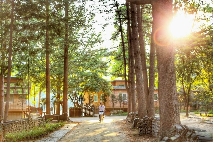 Seoul: Eobi Valley(Winter), Strawberry, Nami Island and Bike - Eobi Ice Valley: The Winter Special That Photographers Chase
