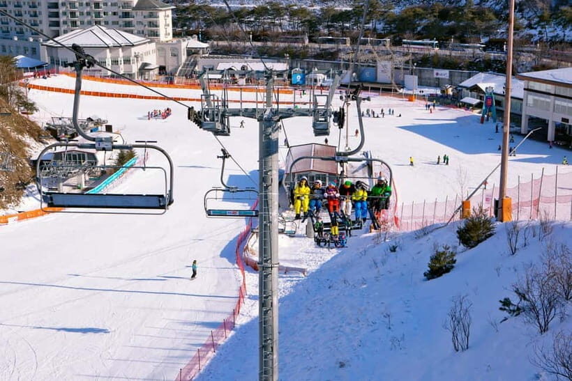 Seoul: Full-Day Winter Trip Ski Resort, Ice Valley, Namiseom - Key things worth knowing before you go