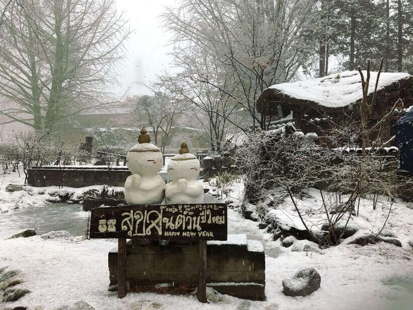 Seoul: Full-Day Winter Trip Ski Resort, Ice Valley, Namiseom - Why this winter day trip works from Seoul