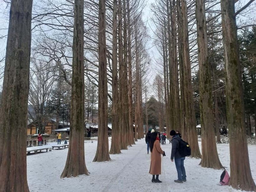 Seoul: Full-Day Winter Trip Ski Resort, Ice Valley, Namiseom - Who this winter trip suits best