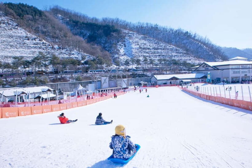Seoul: Full-Day Winter Trip Ski Resort, Ice Valley, Namiseom - The day’s rhythm: transfers, timing, and what it means for your body