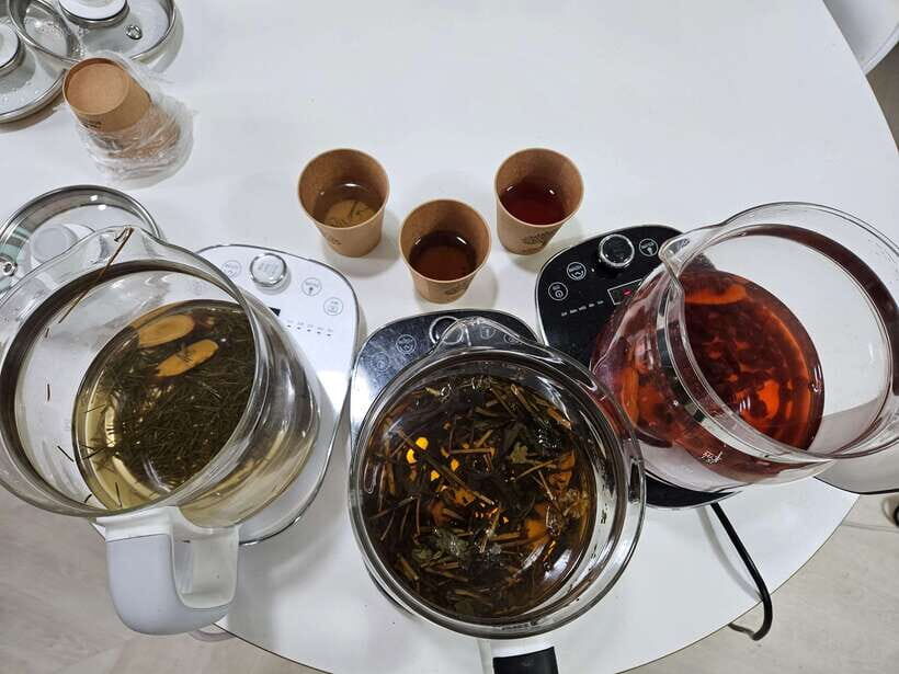 Seoul: herbal tea class & Korean Medicine tour - The lecture on Han medicine theory and autotherapy