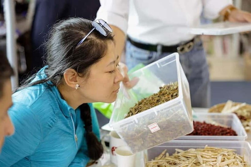 Seoul: herbal tea class & Korean Medicine tour - Shopping time: what’s included, what costs extra