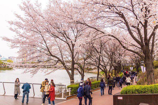 Seoul Highlights & Hidden Gems – Private Tour with Photo Service - Why Seoul looks better when someone is behind the camera