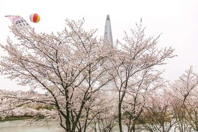 Seoul Highlights & Hidden Gems – Private Tour with Photo Service - How the day runs: pickup, timing, and staying comfortable