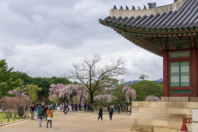 Seoul Highlights & Hidden Gems – Private Tour with Photo Service - Gwangjang Market: the food-photo stop and a kimchi take-home plan