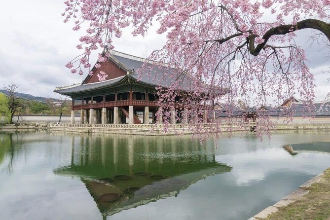 Seoul Highlights & Hidden Gems – Private Tour with Photo Service - Price and what you really get for $210