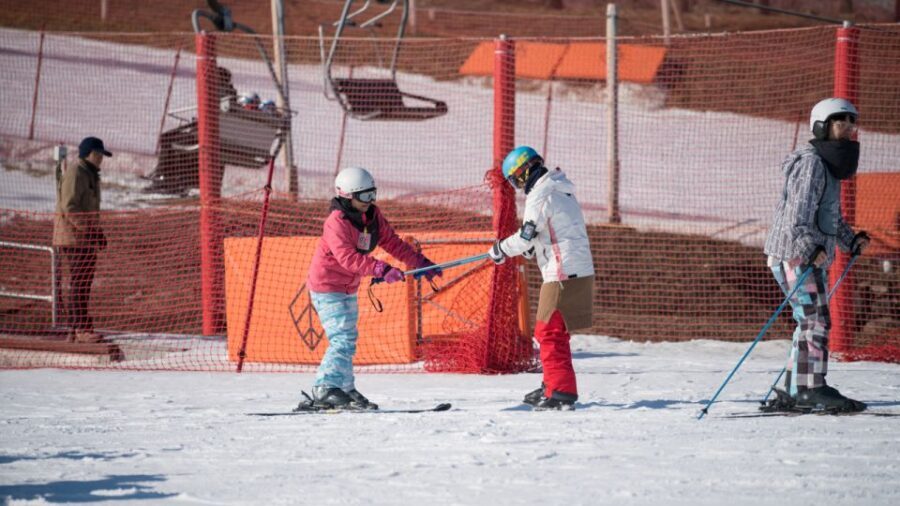 Seoul: Jisan Forest Winter Ski Day Tour with Basic Lesson - The 1-Hour Basic Group Lesson: Fast Confidence for First Turns