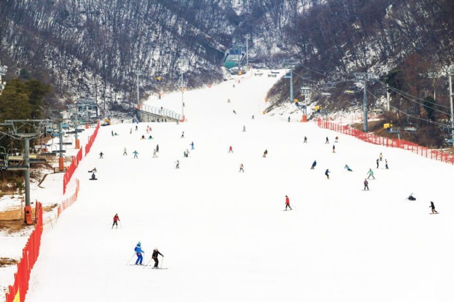 Seoul: Jisan Forest Winter Ski Day Tour with Basic Lesson - Ski vs Snowboard Packages: What You Actually Get