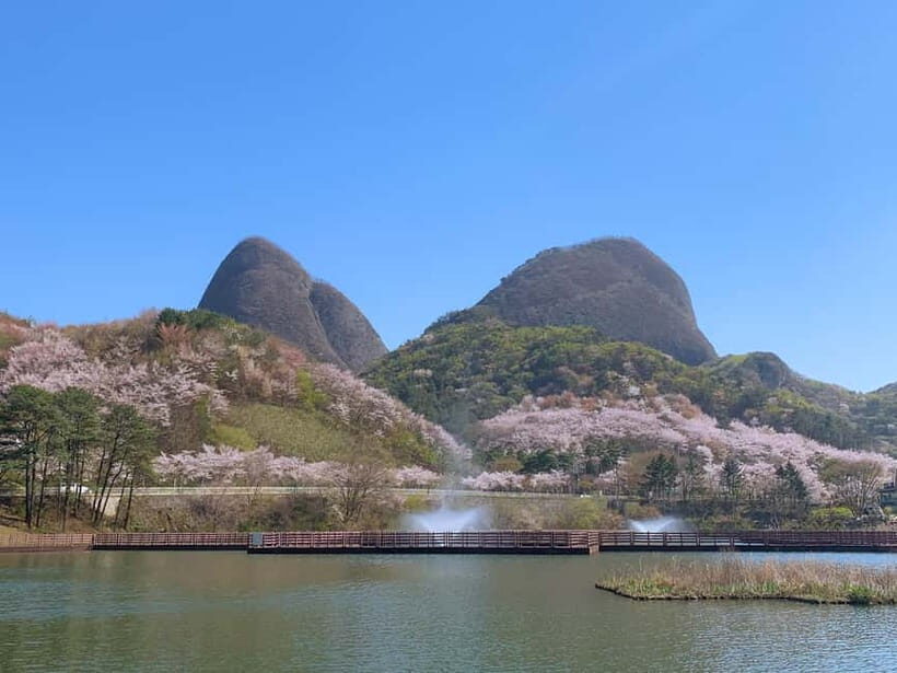 Seoul: Maisan Cherry Blossom and Jeonju Hanok Day Tour - Key things that make this tour worth your time