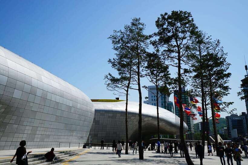 Seoul: Max Out Must Visit City Highlights Panoramic Day Tour - Blue House and Dongdaemun Design Plaza: pass-by moments that still matter