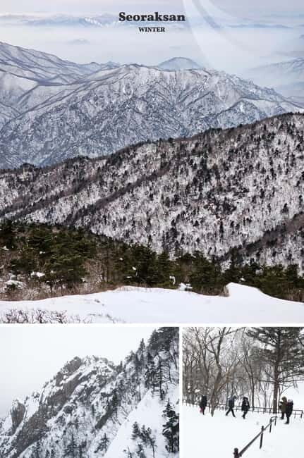 Seoul: Mt. Seorak & Nami Island & Eobi Ice Valley Day Tour - Key highlights at a glance
