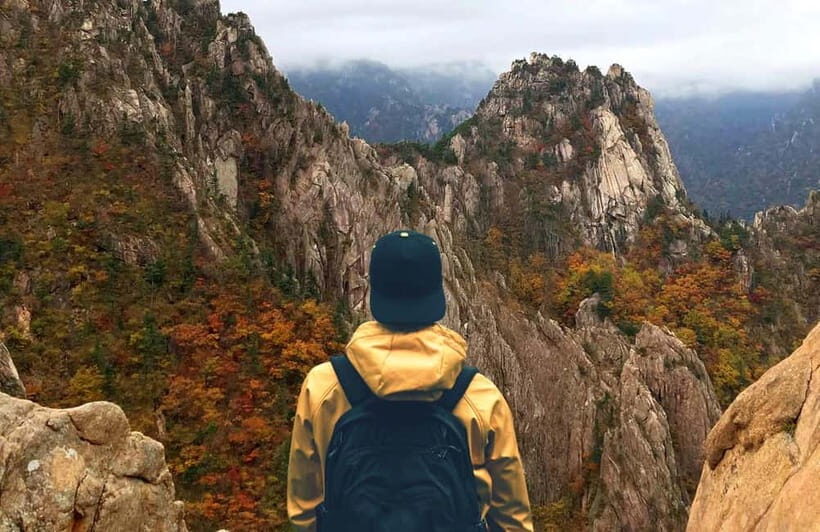 Seoul: Mt. Seorak & Nami Island & Eobi Ice Valley Day Tour - Nami Island: tree-lined calm, plus time to do your own thing