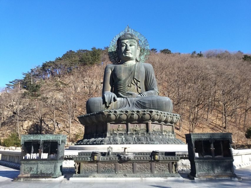 Seoul: Mt.Seorak, Nami Island & Korean Garden, No Shopping - The packed 14-hour reality: what it feels like on the ground