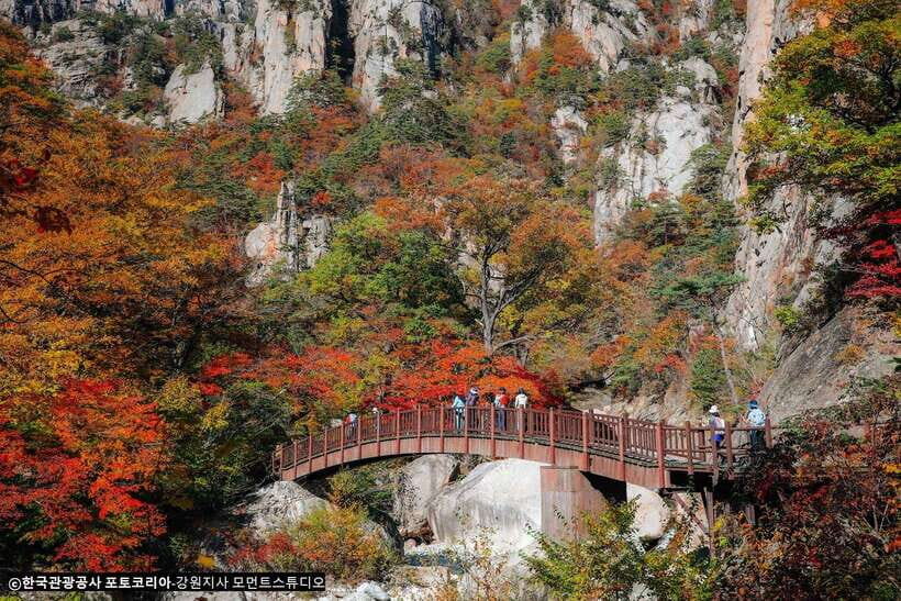 Seoul: Mt.Seorak, Nami Island, No Shopping(+RailBike Option) - Key points you’ll care about
