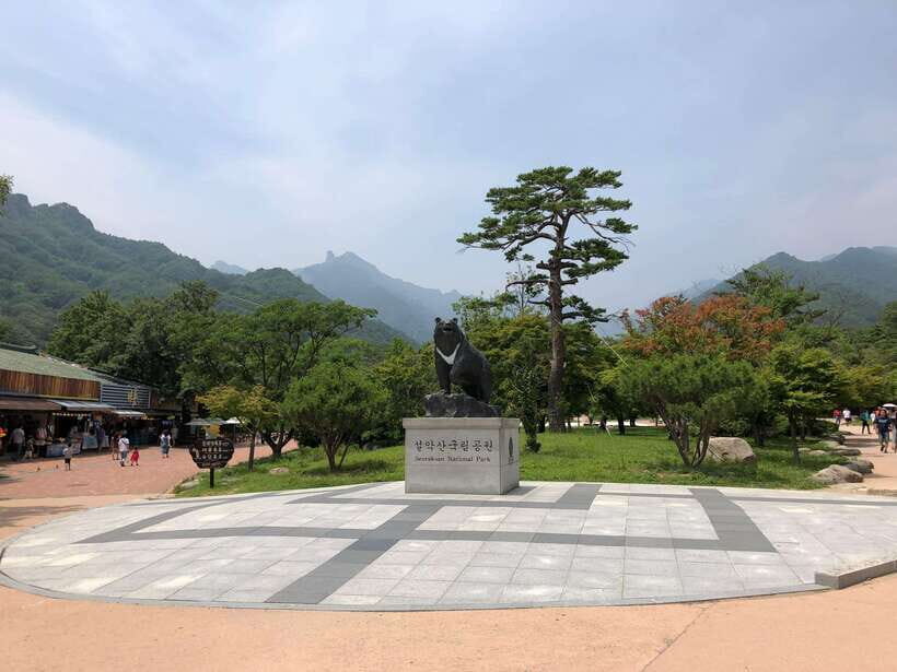 Seoul: Mt Seorak(Cable Car)+Sokcho Beach&Market+Observatory - A 14-hour day trip: schedule reality check