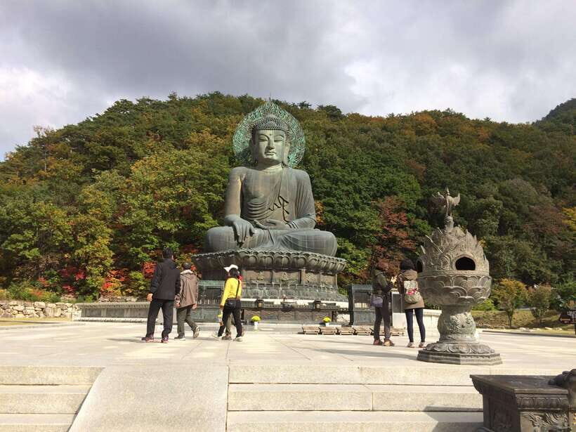 Seoul: Mt Seorak(Cable Car)+Sokcho Beach&Market+Observatory - Seoraksan National Park: where autumn drama actually happens