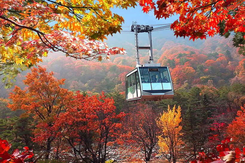Seoul: Mt Seorak(Cable Car)+Sokcho Beach&Market+Observatory - Sokcho Beach: 30 minutes to breathe by the sea