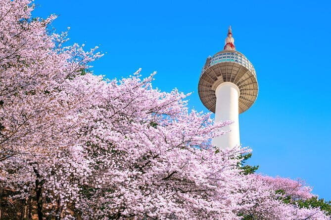 Seoul: N Tower Observatory Ticket - Sky Restrooms with Glass Windows: Yes, Really
