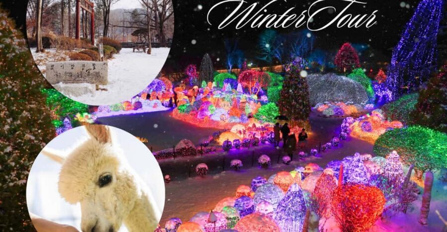 Seoul: Nami and K-Garden with Optional Alpaca Winter Tour - Key highlights to know before you go