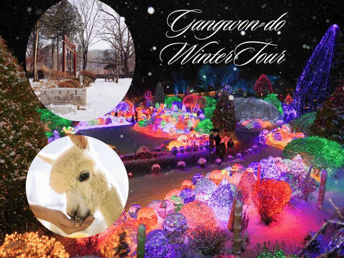 Seoul: Nami and K-Garden with Optional Alpaca Winter Tour - Nami Island: K-drama scenery plus winter calm (and animals nearby)