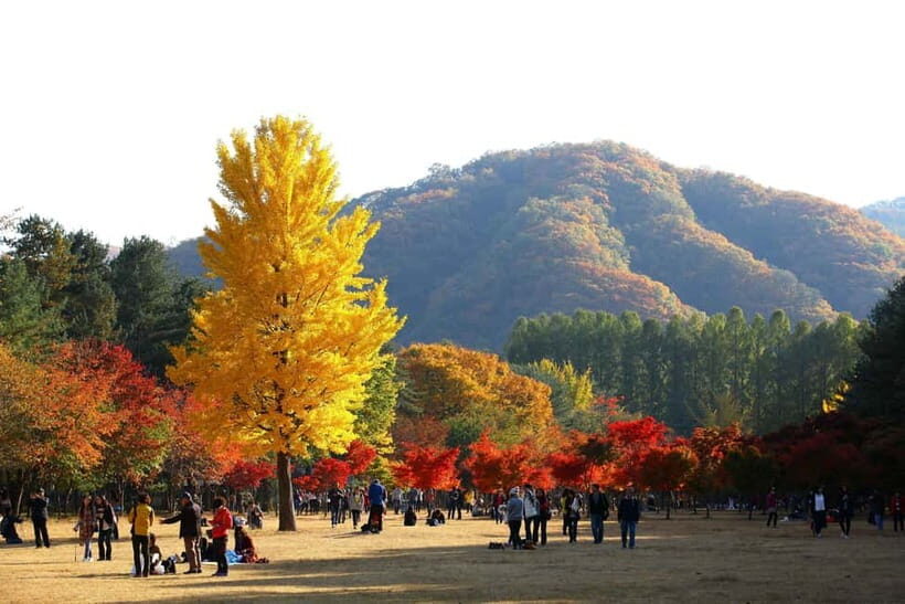 Seoul: Nami Island, Alpaca World, Morning Calm Garden - Morning Calm Garden: a quiet break from Seoul’s pace