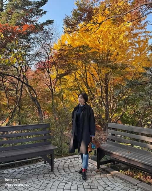 Seoul: Nami Island, Alpaca World, Morning Calm Garden - Should you book this Seoul trip?