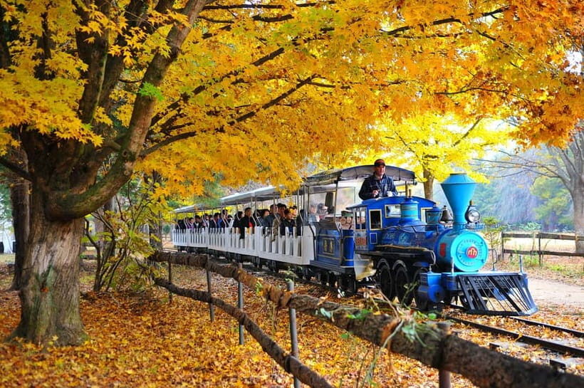 Seoul: Nami Island, Alpaca World, Morning Calm Garden - FAQ