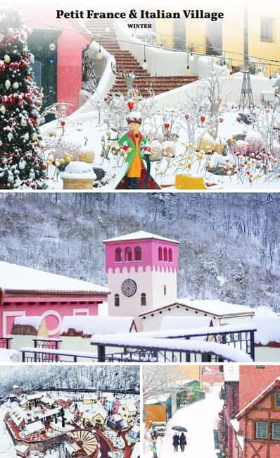 Seoul: Nami Island & Alpaca World & Railbike (+Healing Park) - Price and value: why $69 can work better than DIY