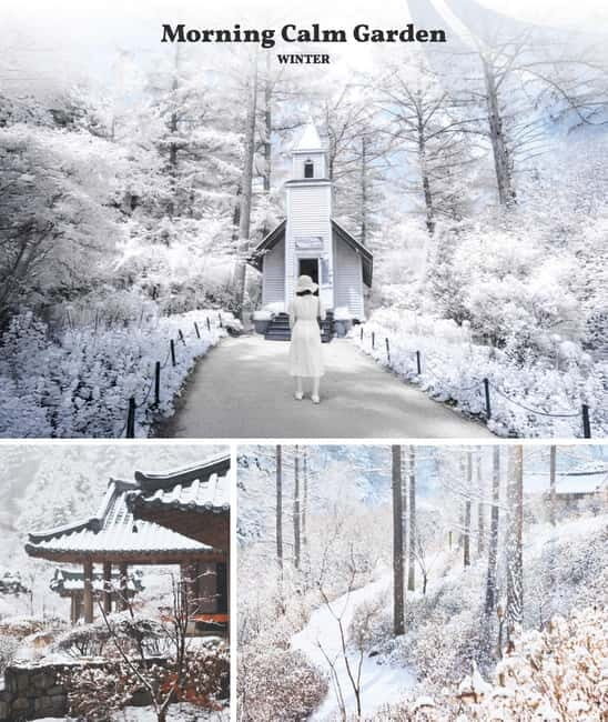 Seoul: Nami Island & Alpaca World & Railbike (+Healing Park) - Should you book this Seoul Nami Island, Alpaca World, and Rail Bike day trip?