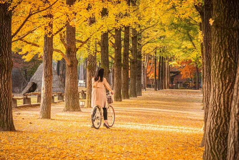 Seoul: Nami Island and Garden of Morning Calm (+Railbike) - The long coach ride: how the day stays comfortable (and where time goes)