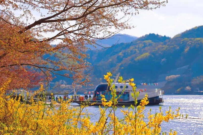 Seoul: Nami Island, Garden and Petite France with Railbike - Price and What You Actually Get for $73