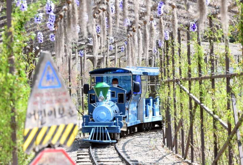 Seoul: Nami Island & Petite France Tour with Railbike Option - Stop 1: Petite France (Gapyeong) and the Photo-Lane Mindset
