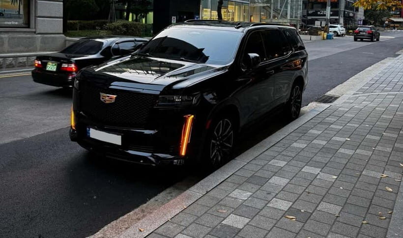 Seoul: Private Luxury Vehicle Tour - English/Spanish guiding - Key points that make this Seoul tour feel “zero stress”